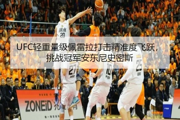 UFC轻重量级佩雷拉打击精准度飞跃，挑战冠军安东尼史密斯